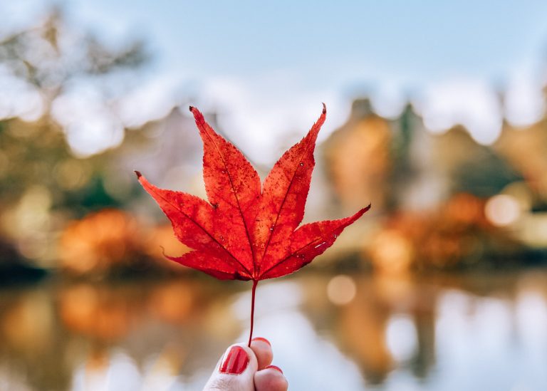 10 things I love about Autumn