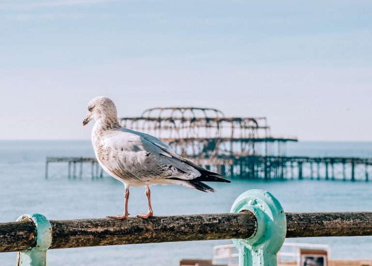 A walk round Brighton, England